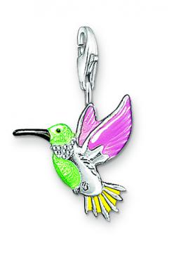 Kolibri